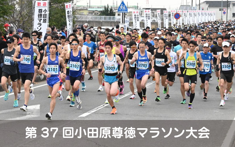 第37回小田原尊徳マラソン大会