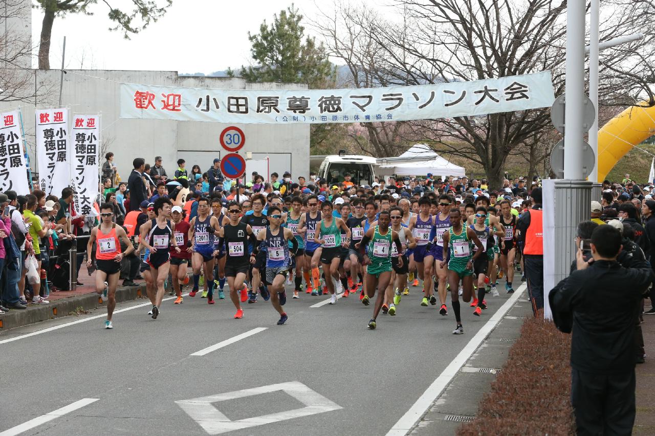 第36回小田原尊徳マラソン大会