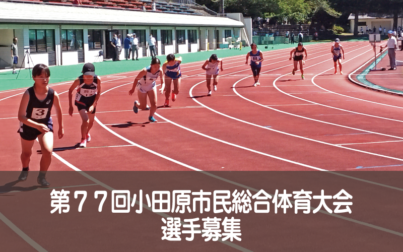 第７７回小田原市民総合体育大会の募集