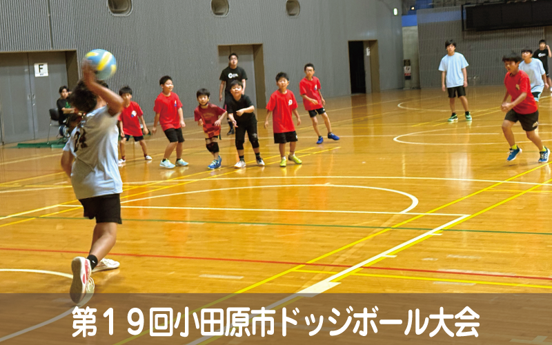 第１９回小田原市ドッジボール大会